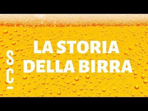 Capitolo 1: la storia della birra 🍺