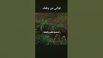قرآن كريم راحة نفسية قرآن كريم #اكسبلور #قرآن #المصحف #لايك #القزابري