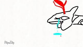 Broken Orca Animation Very Sad