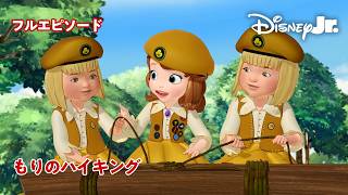【22分】ちいさなプリンセス ソフィア🏰｜もりのハイキング｜フルエピソード｜@disneyjuniorjp screenshot 4