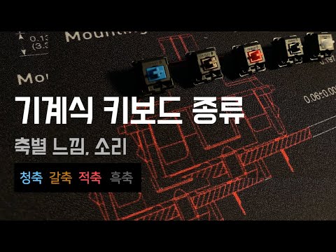 기계식 키보드 종류 알아보기 청축 갈축 적축 흑축 축별 느낌 소리 