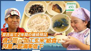 【学校給食による肥満改善】週2回の「加工玄米」摂取で児童の肥満率が33.2%から24.3%へ低下！医食同源生薬研究財団が宮古島市での検証結果を公表