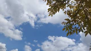 Sky Whispers & Floating Dreams | Relaxing Cloudscape Music