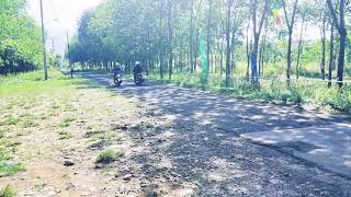 Story wa | papale-papale / tiktok