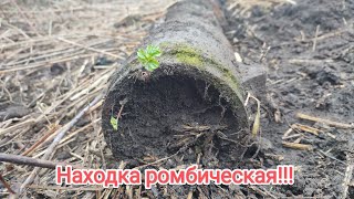 Эта находка решила весь коп!!!