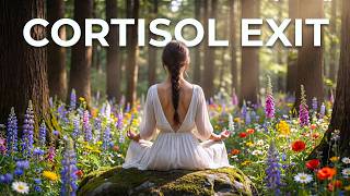 Cortisol Exit  3 Hour Frequency To Flush Stress Hormones U0026 Repair Adrenals 4k