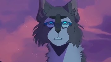 Warrior Cats-She Wolf