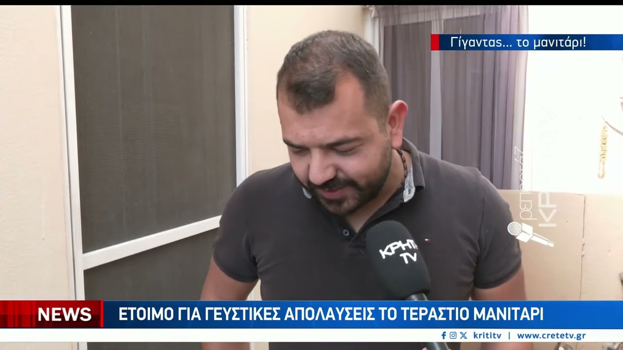 1 κιλό και 185 γραμμάρια το μανιτάρι που έκοψε στην Αγία Βαρβάρα ο Γιάννης Πεπονάκης – Video