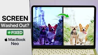 MacBook Neo: Screen Looks Washed Out? Fix!