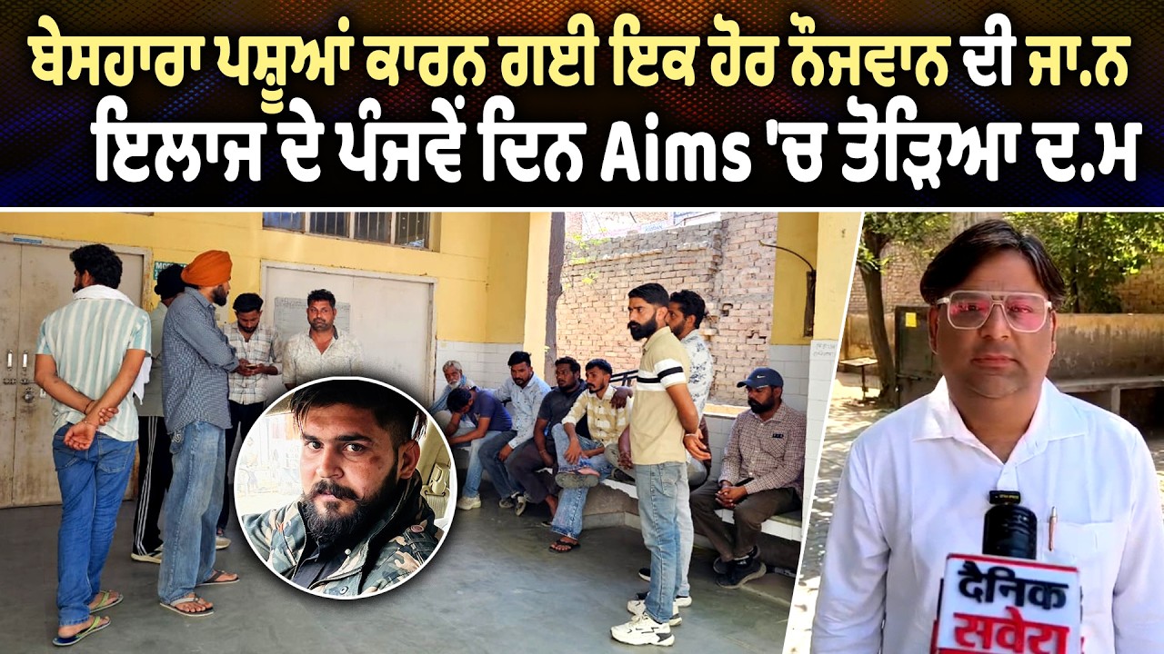 ਬੇਸਹਾਰਾ ਪਸ਼ੂਆਂ ਕਾਰਨ ਗਈ ਇਕ ਹੋਰ ਨੌਜਵਾਨ ਦੀ ਜਾ.ਨ, ਇਲਾਜ ਦੇ ਪੰਜਵੇਂ ਦਿਨ Aims 'ਚ ਤੋੜਿਆ ਦ.ਮ