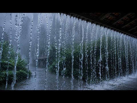 Fall Asleep Fast! Real Heavy Rain on Roof (No Ads) 🌧️ Deep Sleep All Night