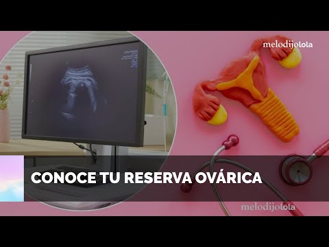 La importancia de conocer tu reserva ovárica para la planificación familiar | melodijolola