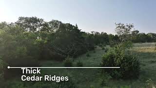 ONLINE AUCTION: 161 +/- Acres of Deer & Turkey Hunting In Ellsworth County Near Kanopolis Lake!