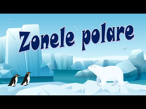 Video: Deșertul Antarctic: zonă naturală