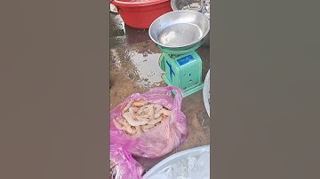 Chợ Vàm Láng hải sản  tươi sống