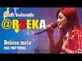 bohoso moto cover by vivi voleta ARSEKA MUSIK // PUTRA USAHA MULTIMEDIA
