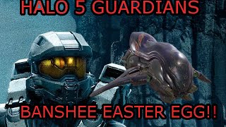 HALO 5 GUARDIANS EASTER EGG: BANSHEES