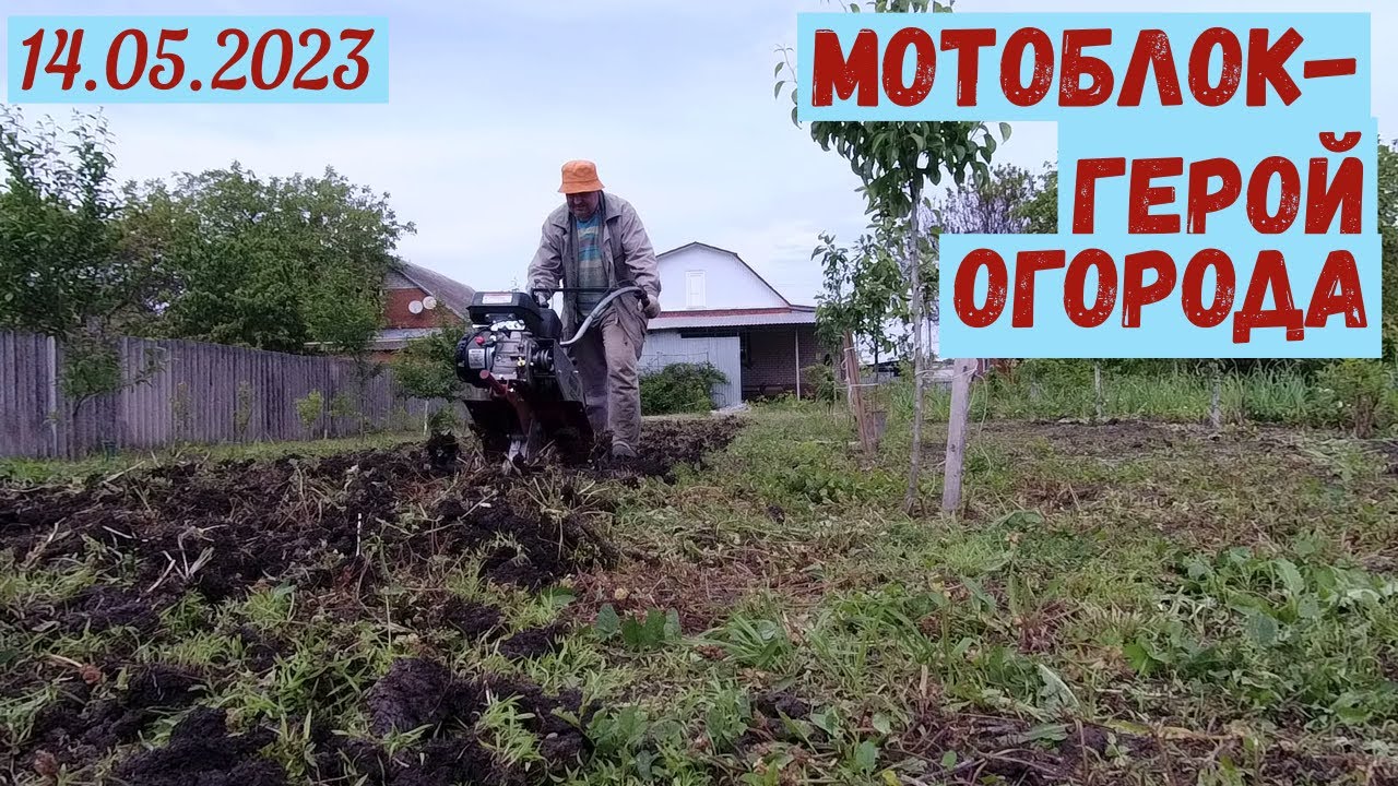 Краснодарский край. Обработка земли мотоблоком(14.05.2023) - YouTube