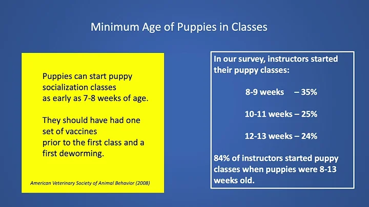 Dog Training Instructor Practices for Teaching Pup...