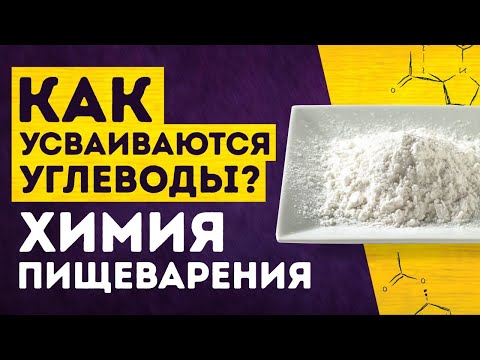 Как усваиваются углеводы? Химия пищеварения