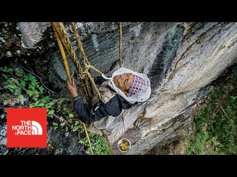 Video: Att måla ett porträtt eller säga en bild. Typografisk målning