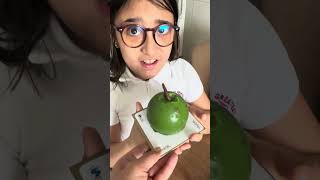 Elif Asel Elmaya Bak