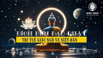 HỌC PHẬT P4 | Đích Đến của Đạo Phật – Trí Tuệ Giác Ngộ và Niết-bàn