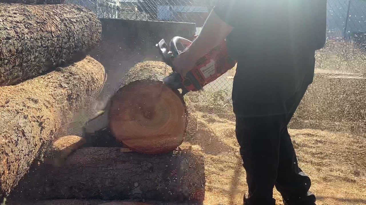 Donny walkers chainsaws runny hot rod 372 husqvarna