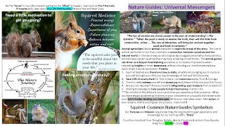 Squirrel|Animal Totem Spiritual Meaning|Divine Alignment|F4YT Profile