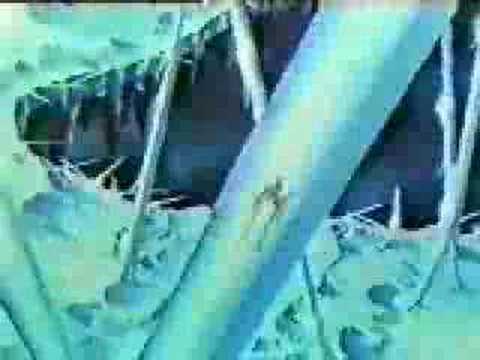 "Nookie (Techno Remix)" Sonic Music Video