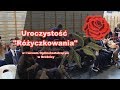 Uroczystość Różyczkowania w I LO