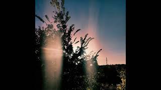 Sunbyonic - Spend the Night