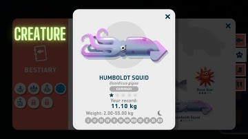 Creatures of the Deep Humboldt Squid Location #alaska #walkthrough #guide #gameplay