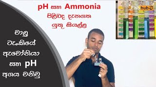 Testing Aquarium Water for pH and Ammonia | Sinhala |
