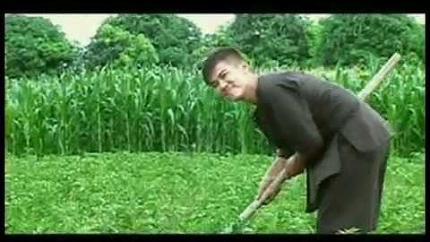 ĐỜI BẮT TÉP NUÔI CÒ- VÂN QUANG LONG