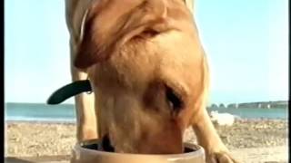 S4C Wales Ads 1999 2