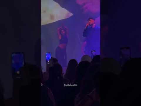 الشامي حفلة السويد الشامي حفلة السويد