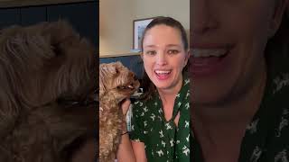 Celebrity dog training, veterinary medicine, animal behavior, and DEI in the pet industry