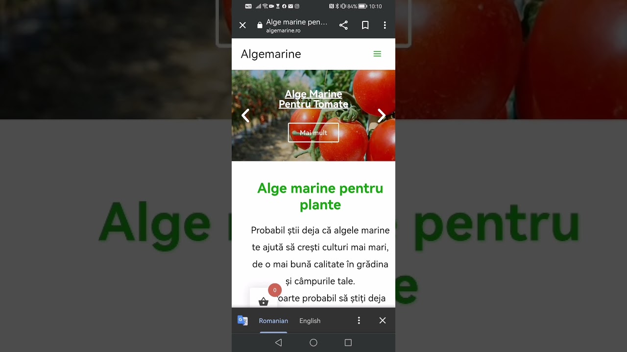Alge Marine Pret - Algele Marine Pret 