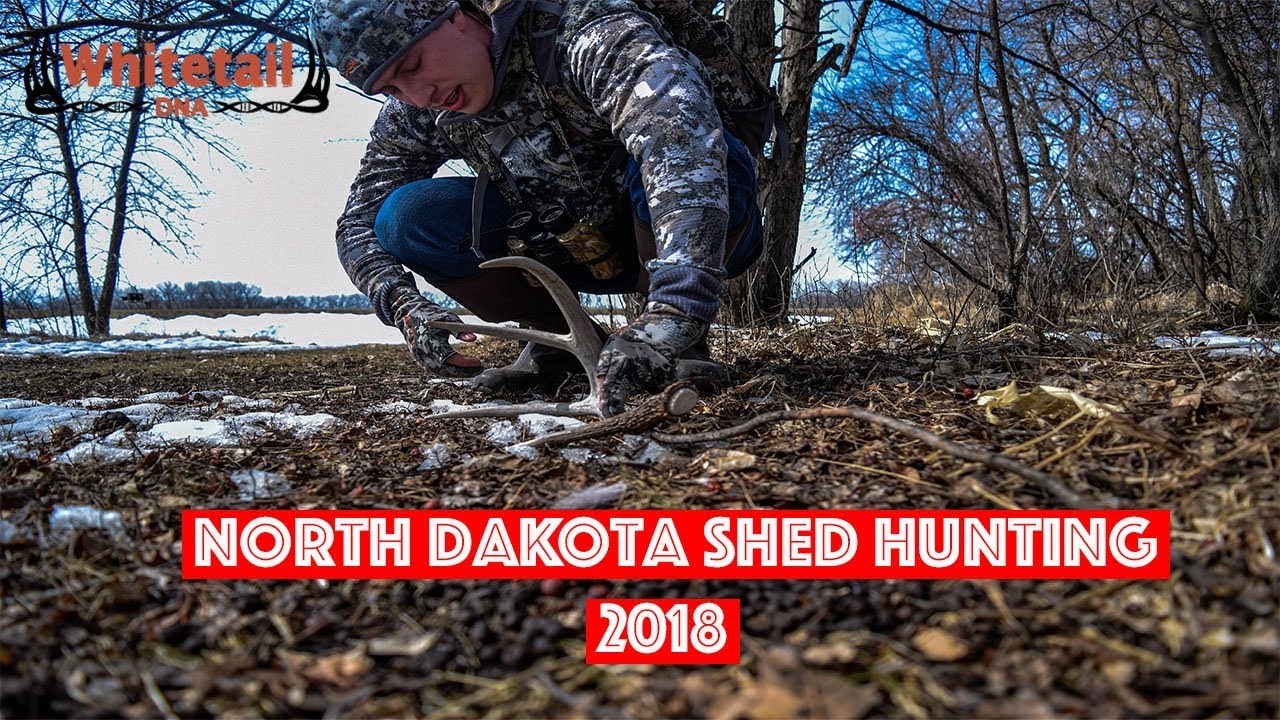 2018 Vlog 12 North Dakota Shed Hunting YouTube