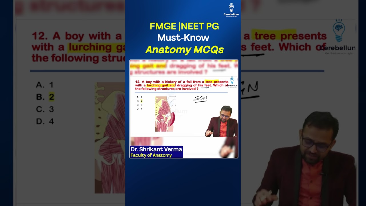 Most Expected Anatomy MCQs | High-Yield PYQs for NEET PG, FMGE & INI-CET