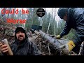 Why an ATV Winch is No Good For Moving Logs | Gathering Lumber from the Woods