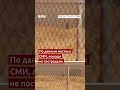 В Греции борются с сильными пожарами, площадь которых увеличивается из-за сильного ветра