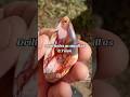 Drill gemstones in seconds! Comment for more info #lapidary #gemstone #silversmith #jewelrydesigner Mp3 Song