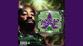 Ganja Gang 916