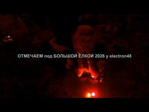 ОТМЕЧАЕМ под БОЛЬШОЙ ЕЛКОЙ 2026 у Электрона48