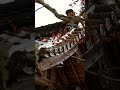 【京都】秋の京都、美しすぎる、、、