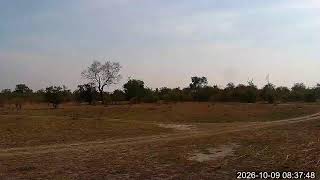 クワンド川(Namibia: Kwando river live stream) のライブ映像