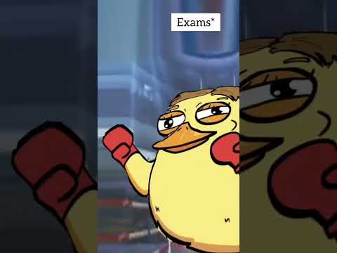 😂😂