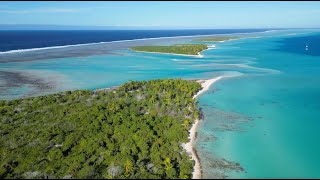 VLOG #32 Tahanea, île déserte des Tuamotu